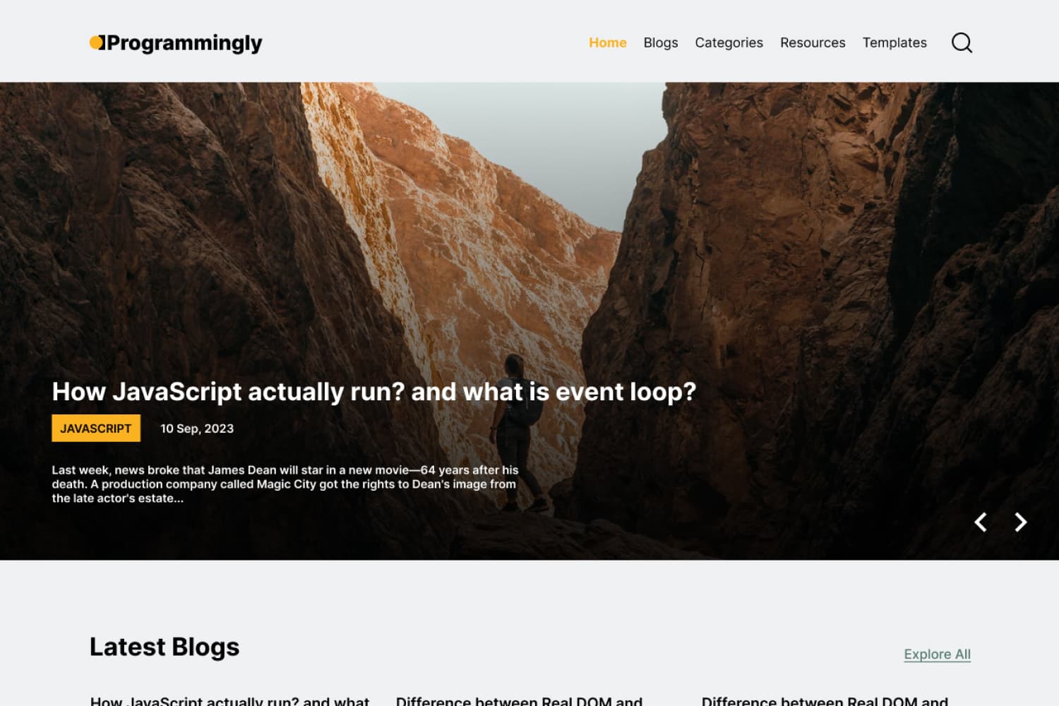 Programmingly WP Theme